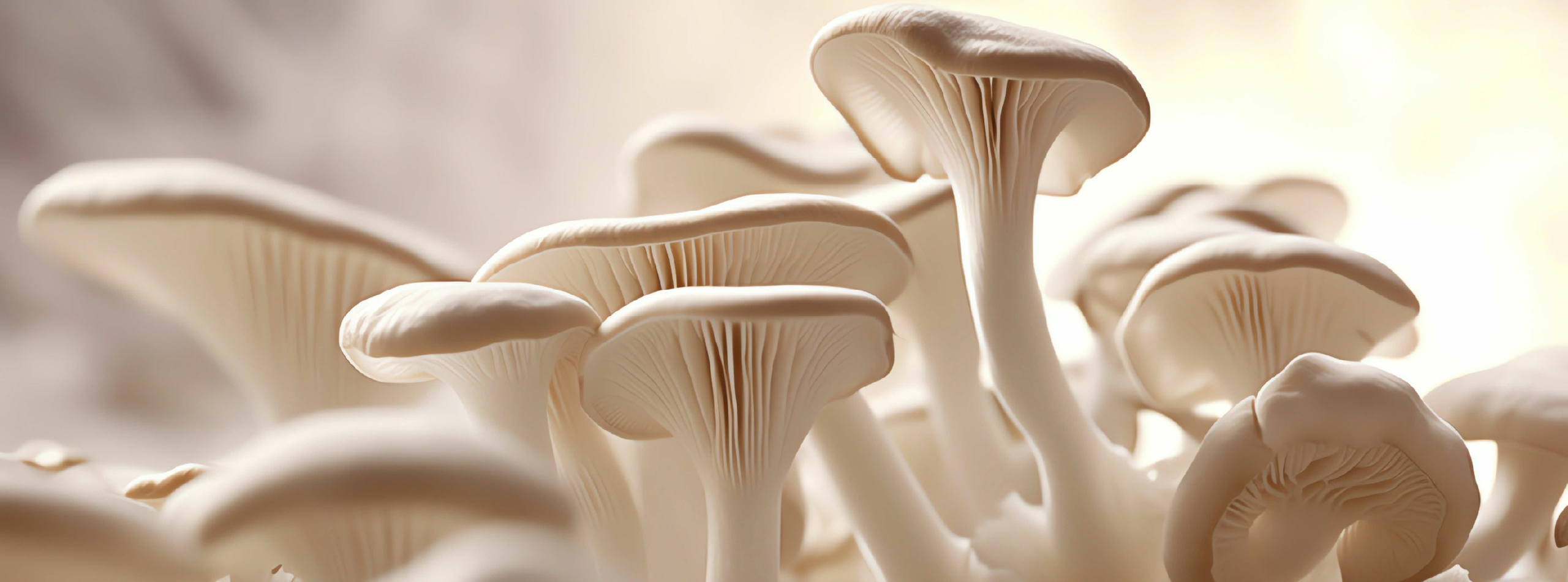 A cluster of mushrooms growing in a controlled environment