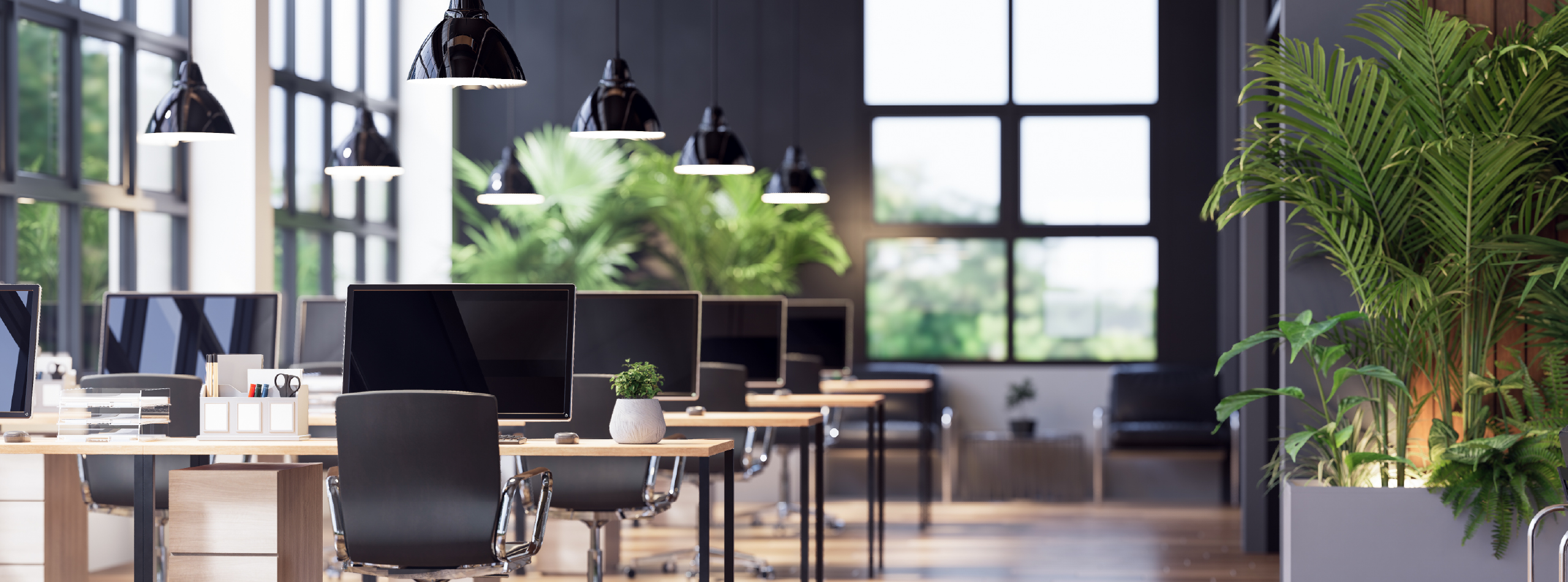 An office space featuring multiple desks arranged neatly, adorned with various indoor plants for a refreshing atmosphere.