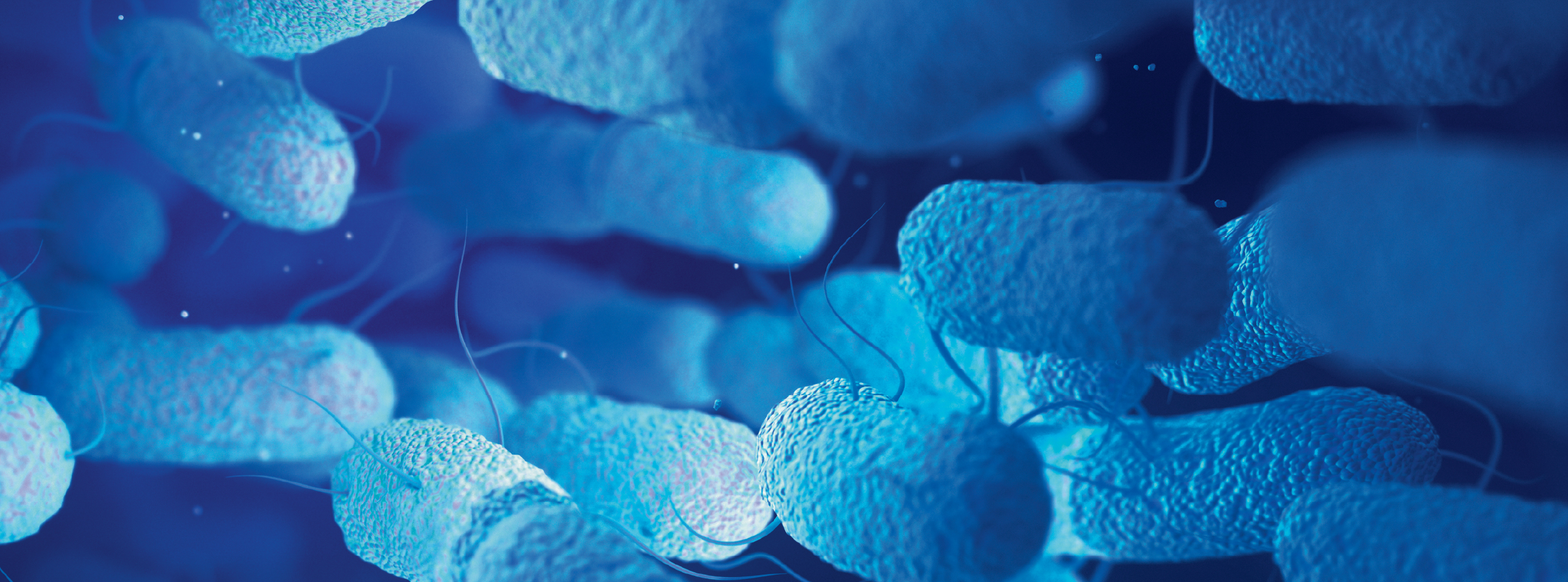 a series of light blue bacteria set on a dark blue background