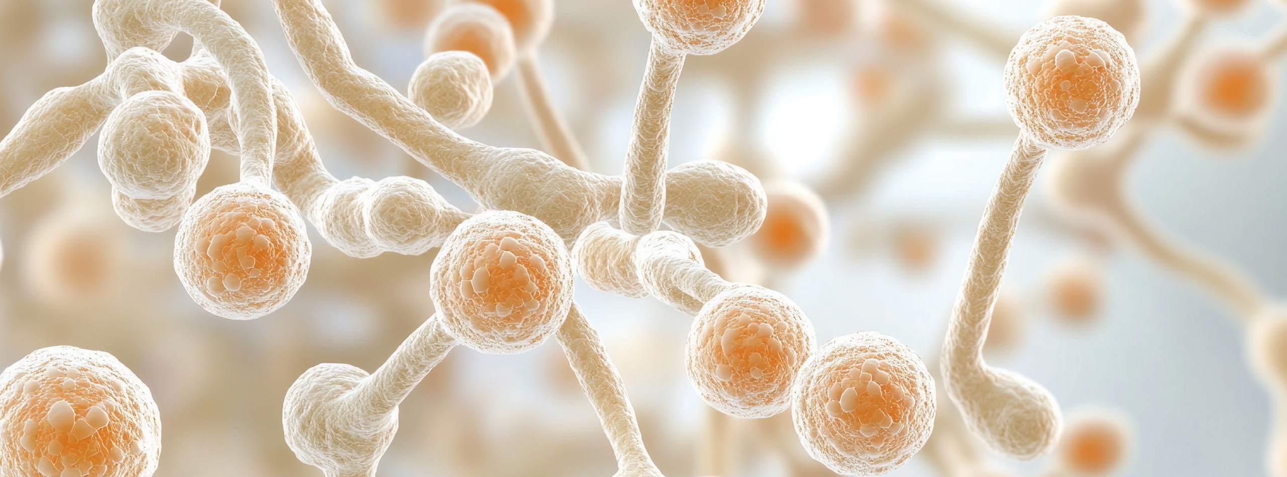 Close-up view of numerous cells, highlighting the intricate cellular structure.