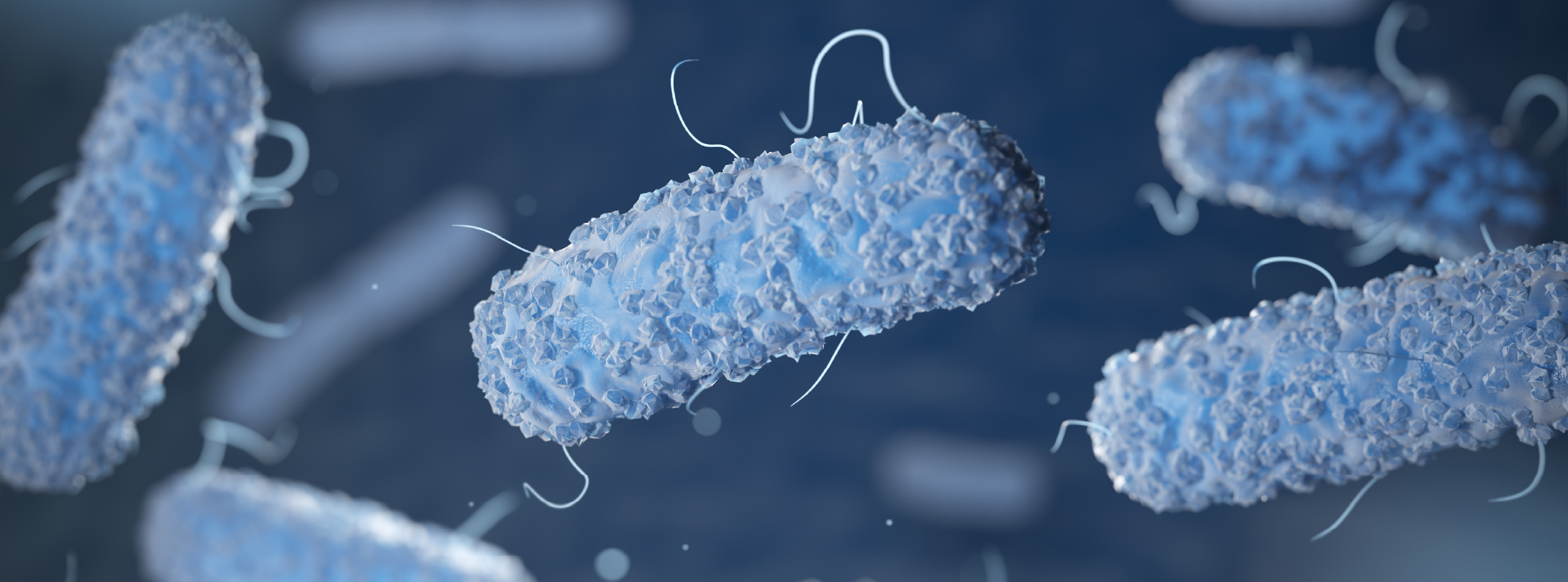 Bacteria suspended in a vibrant blue liquid, showcasing their microscopic structure and movement.