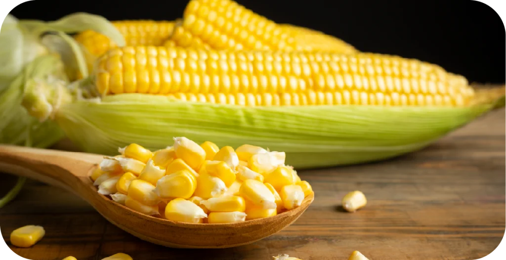 corn kernels in a spoon in front of an ear of corn on a wooden table