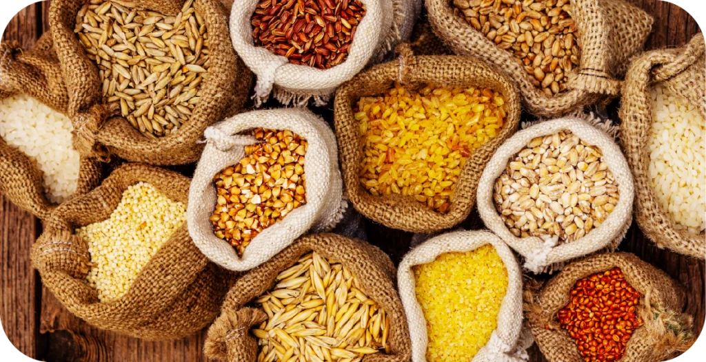 a series of different grains in sacks to be subjected to citrinin testing