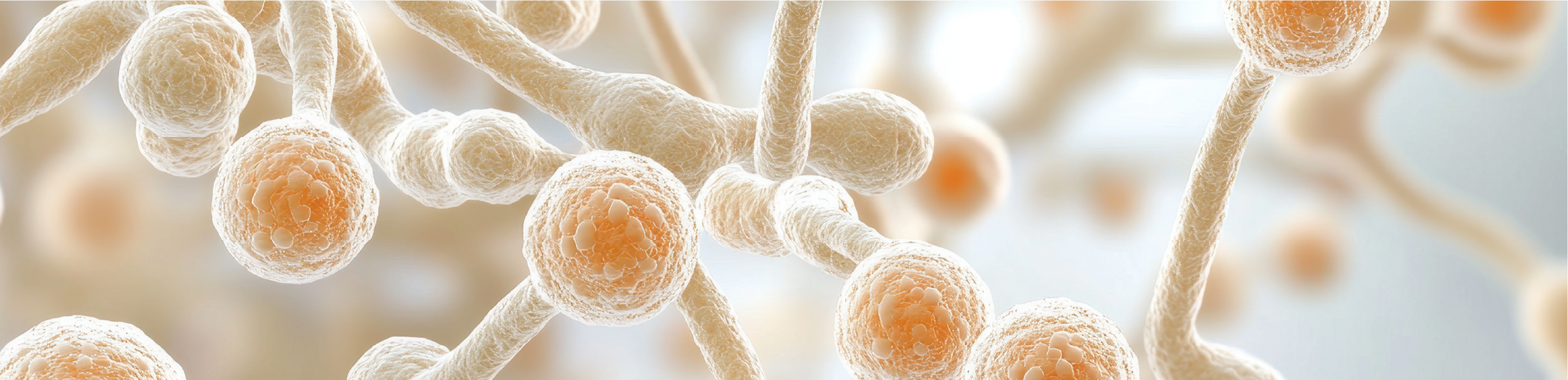 a microscopic close-up of candida albicans set on a light coloured background
