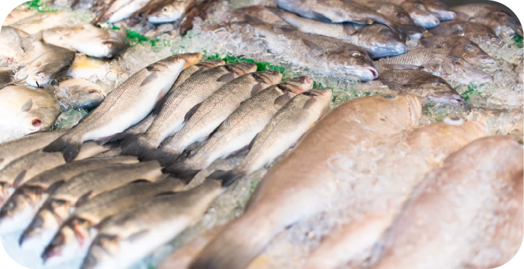 a number of fish displayed on an ice blanket within a fishmonger. Fish species require food adulteration testing for product quality checks