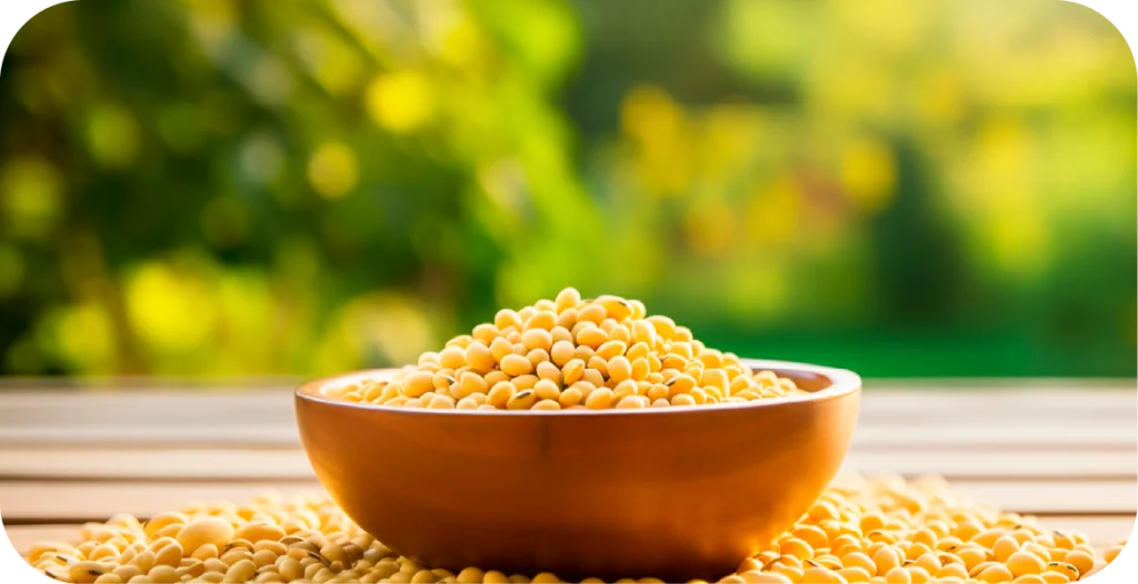 a wooden bowl containing soy beans sits on a wooden table in an outdoor setting