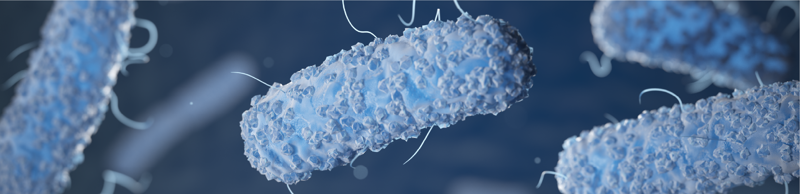 a microscopic close-up of enterobacteriae in light blue set over a dark blue background