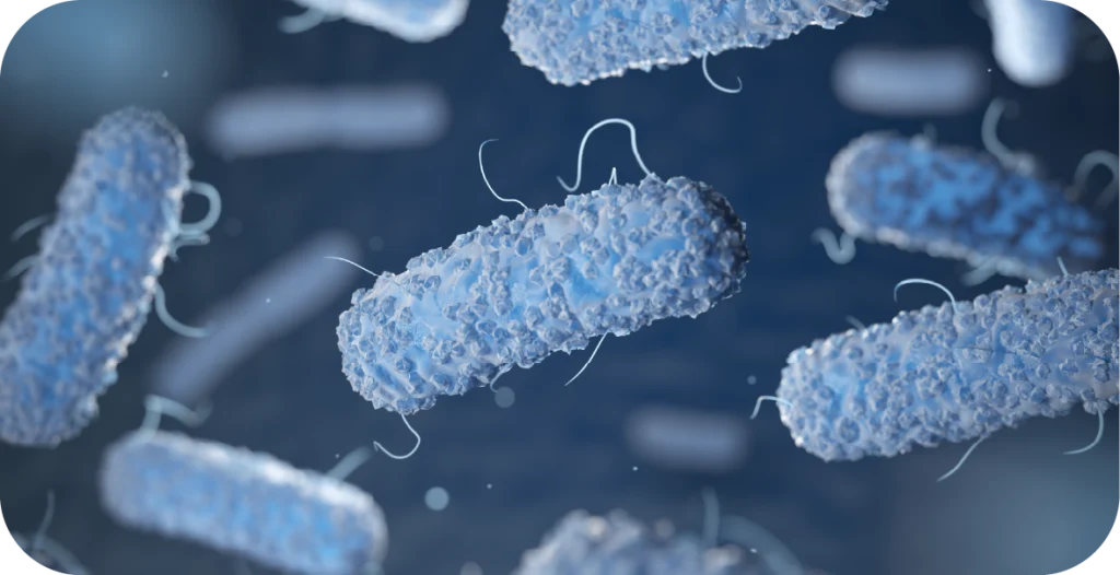 a microscopic close-up of enterobacteriae in light blue set over a dark blue background