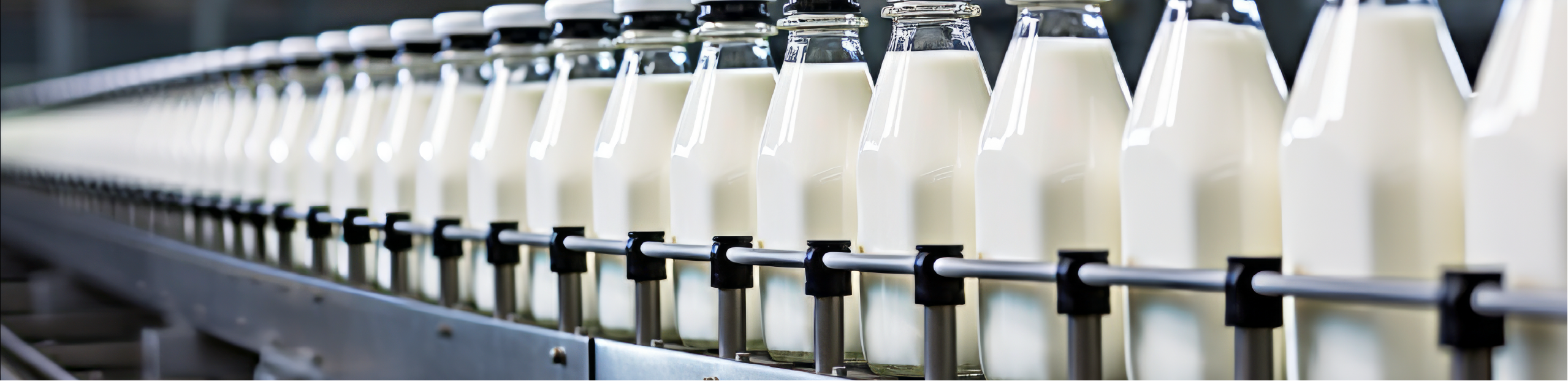 a production line containing bottles of milk being filled