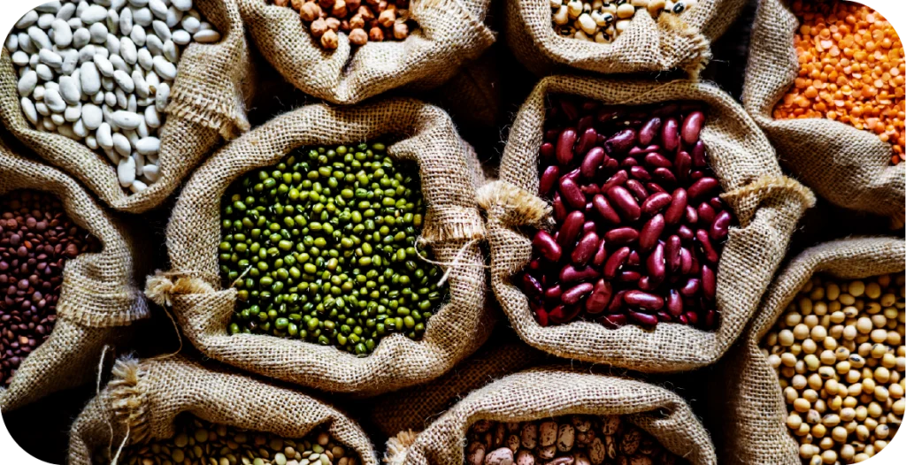 a number of various legumes in sacks, ready for ochratoxin a testing