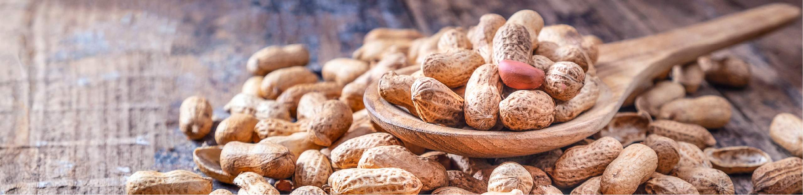 several unshelled peanuts sitting on a wooden spoon resting on a wooden benchtop