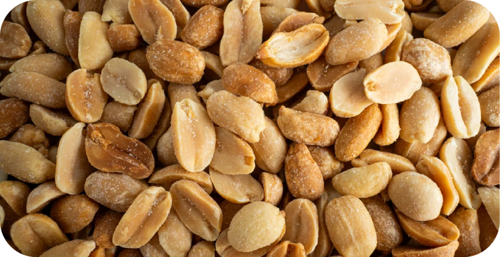 a close of up of shelled peanuts dusted with salt. Peanut testing is critical to avoid issues of anaphylaxis