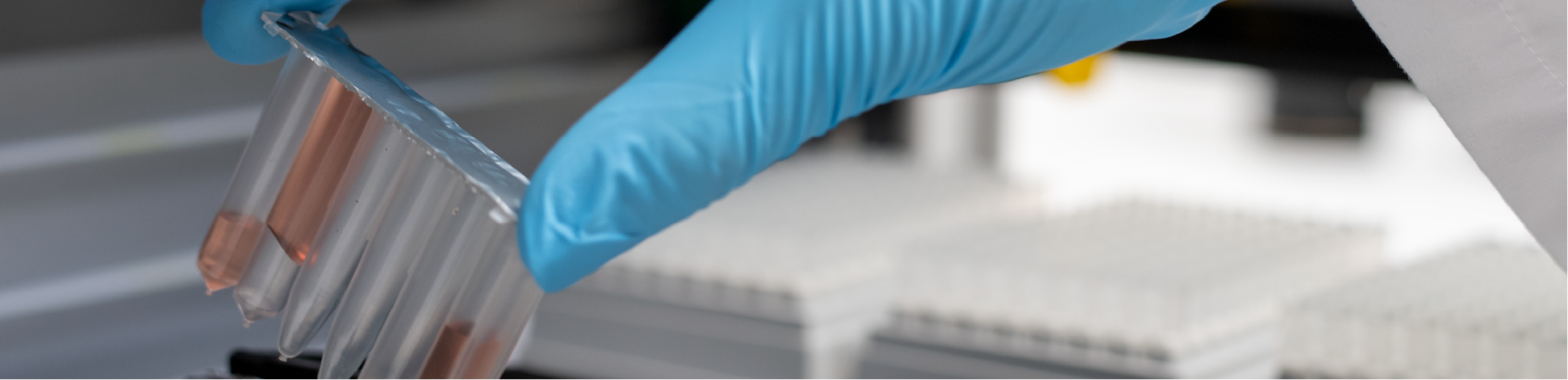 a scientist in blue gloves places a series of tubes into a machine