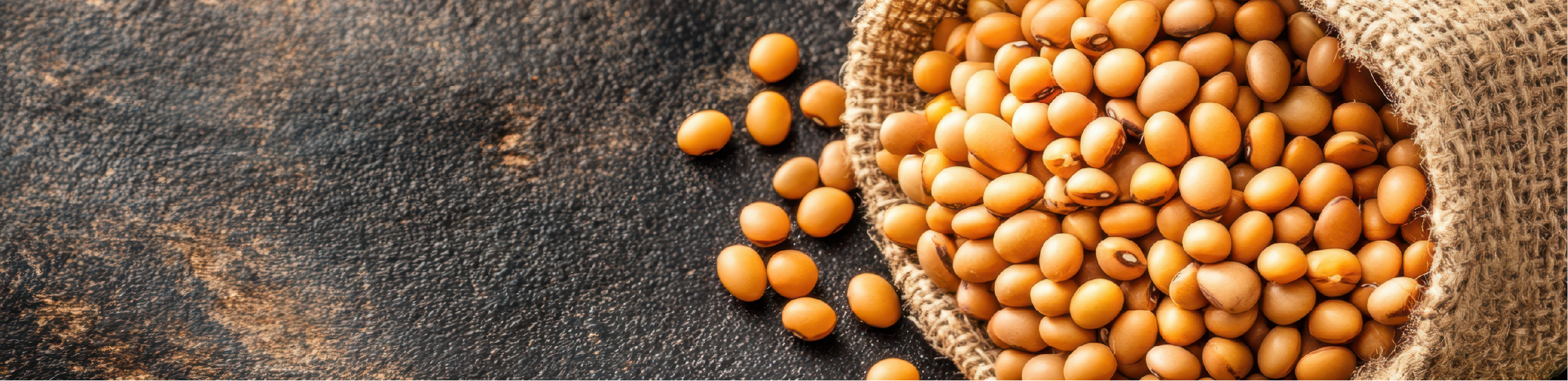 soybeans in a hessian bag being poured out onto a dark table