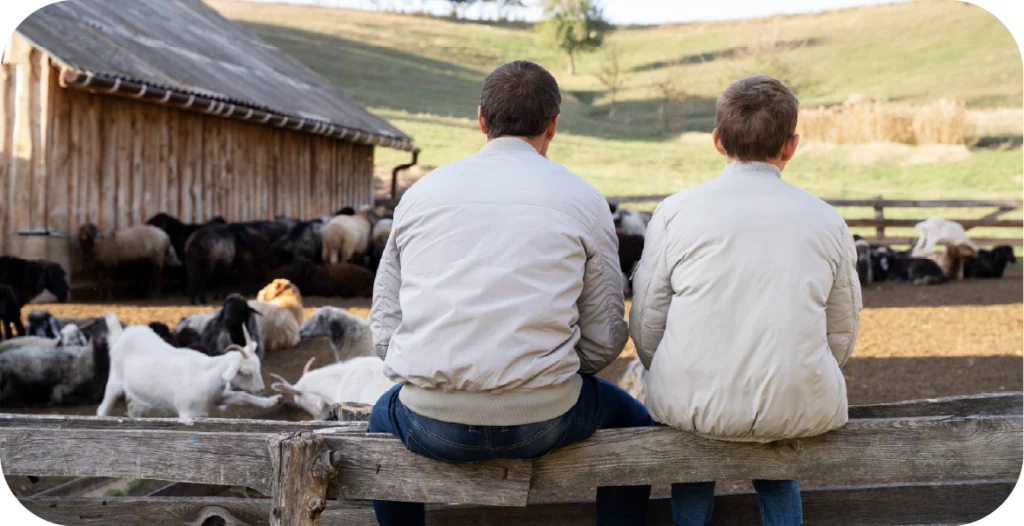 two men sitting on a fence in a paddock looking at livestock