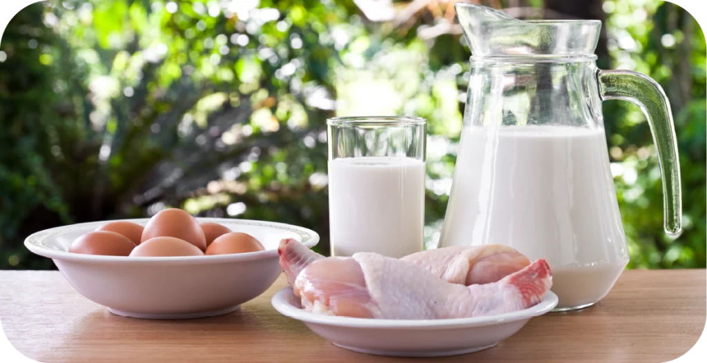 a glass and jug of milk, raw chicken and eggs on a wooden table outdoors
