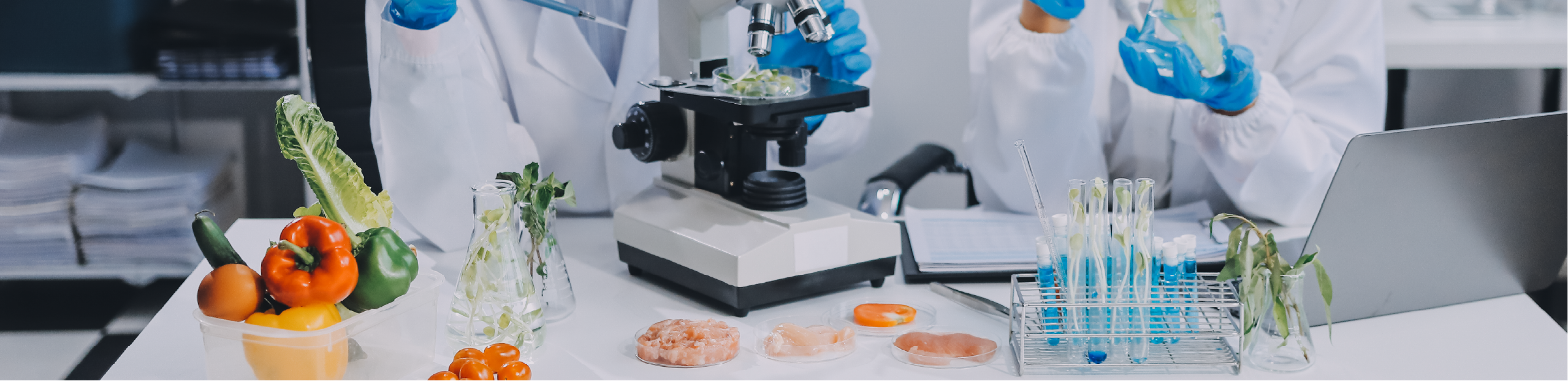 scientists use complex laboratory equipment to conduct testing on food