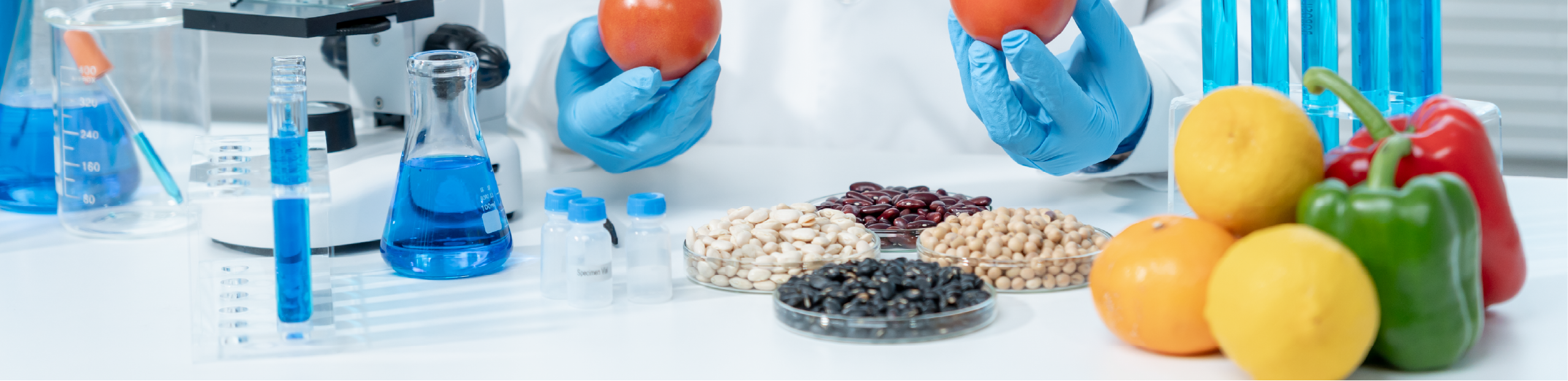 a food scientist analyses a number of fruits and vegetables