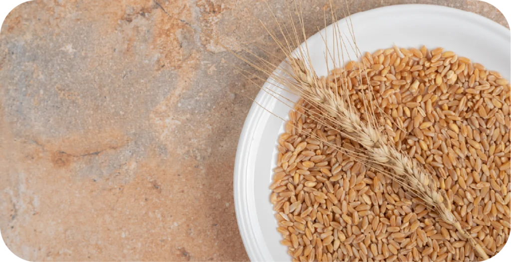 a bowl of wheat and wheat grains on a marble table