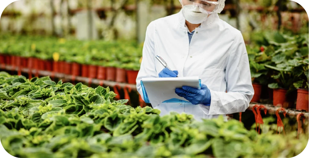a scientist inspects food crops in a nursery
